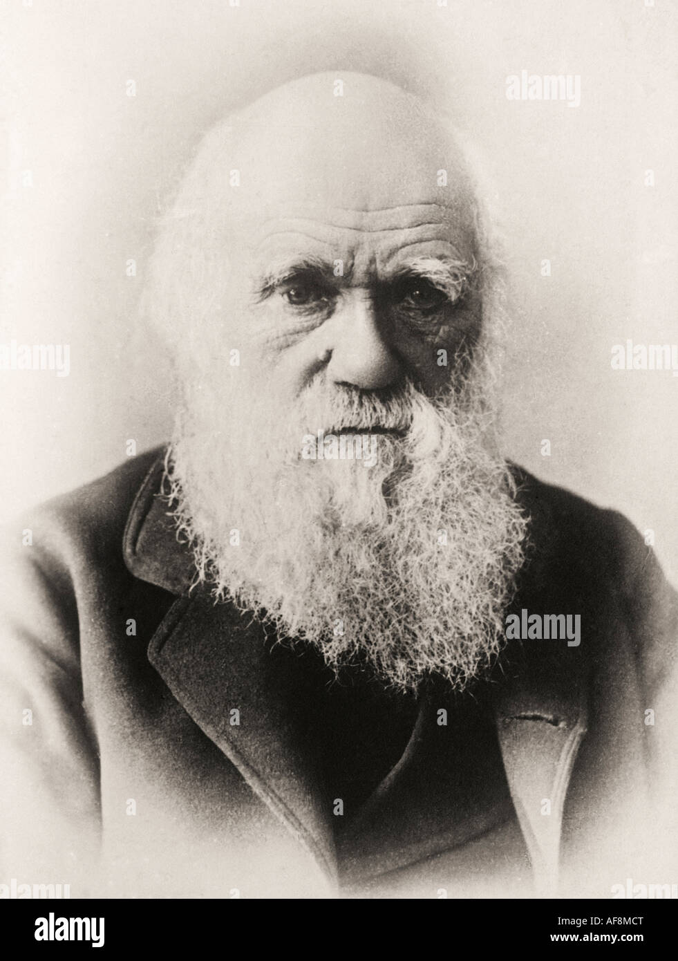 Darwin’s avoidance